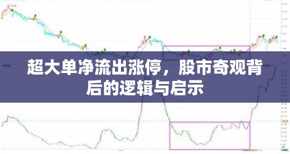 超大單凈流出漲停，股市奇觀背后的邏輯與啟示