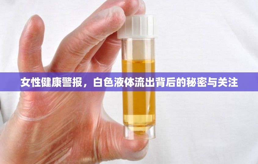 女性健康警報，白色液體流出背后的秘密與關注