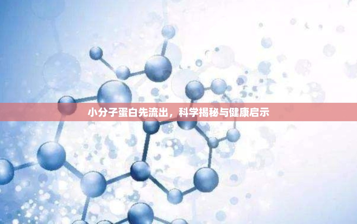 小分子蛋白先流出，科學(xué)揭秘與健康啟示