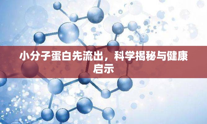 小分子蛋白先流出，科學(xué)揭秘與健康啟示