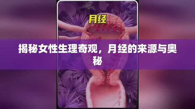 揭秘女性生理奇觀，月經(jīng)的來源與奧秘