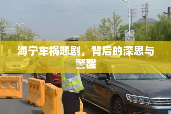 海寧車禍悲劇，背后的深思與警醒