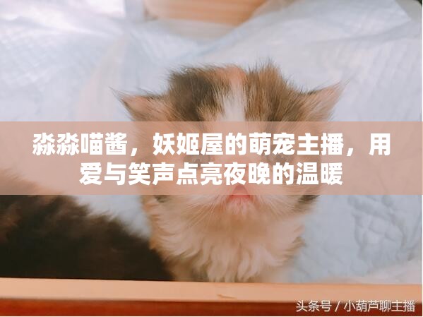 淼淼喵醬，妖姬屋的萌寵主播，用愛與笑聲點(diǎn)亮夜晚的溫暖