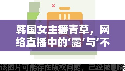 韓國女主播青草，網(wǎng)絡直播中的‘露’與‘不露’的邊界探索