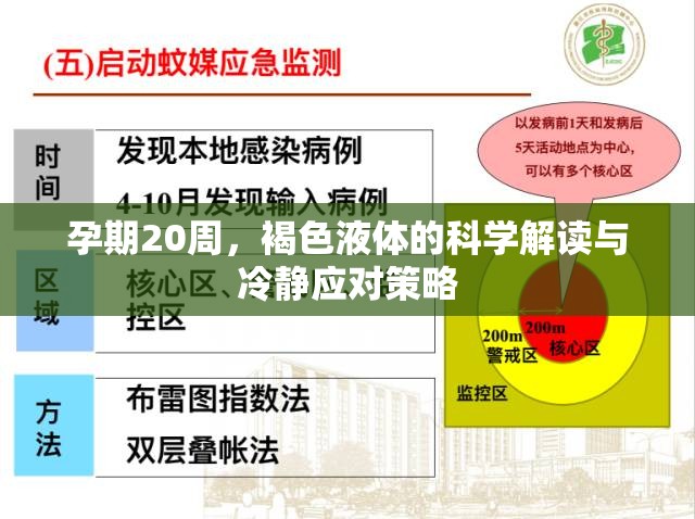 孕期20周，褐色液體的科學解讀與冷靜應對策略