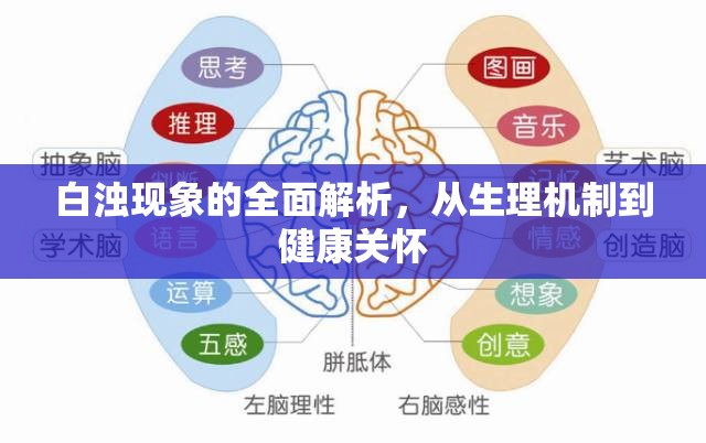 白濁現(xiàn)象的全面解析，從生理機制到健康關(guān)懷