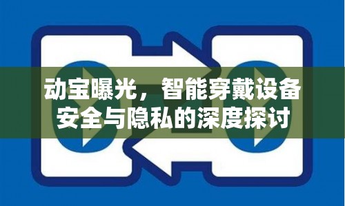 動寶曝光，智能穿戴設(shè)備安全與隱私的深度探討