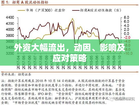 外資大幅流出，動因、影響及應對策略