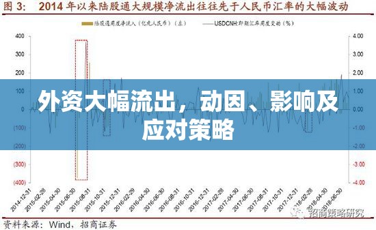 外資大幅流出，動因、影響及應對策略