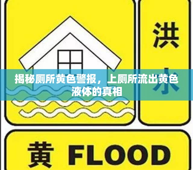 揭秘廁所黃色警報(bào)，上廁所流出黃色液體的真相