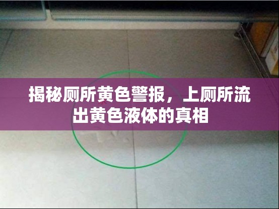 揭秘廁所黃色警報(bào)，上廁所流出黃色液體的真相