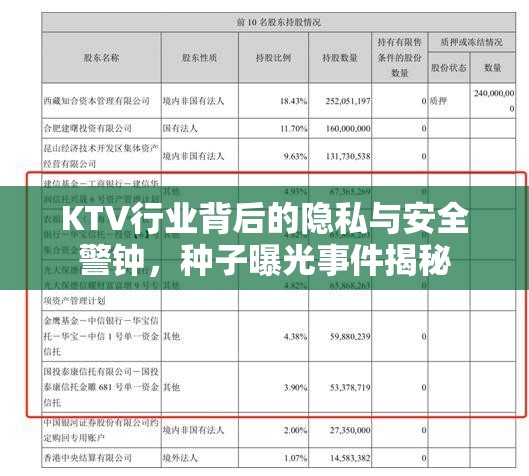 KTV行業(yè)背后的隱私與安全警鐘，種子曝光事件揭秘