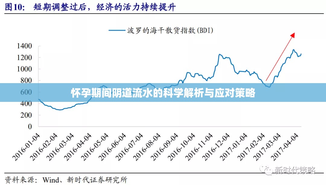 懷孕期間陰道流水的科學解析與應對策略