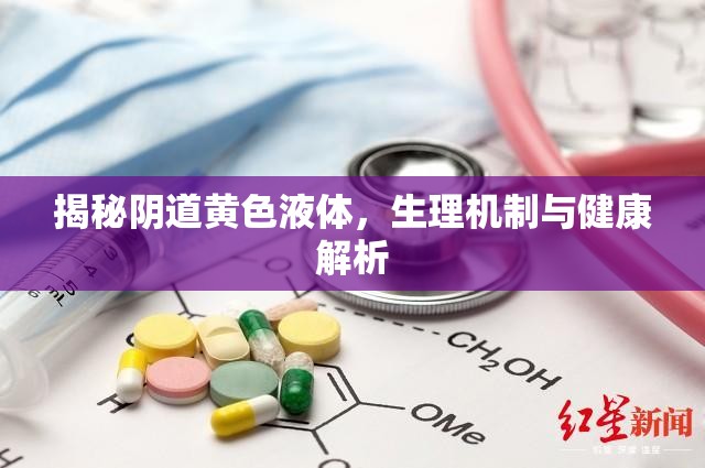 揭秘陰道黃色液體，生理機制與健康解析