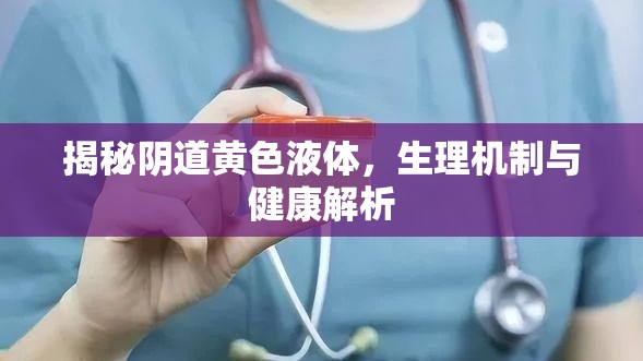 揭秘陰道黃色液體，生理機制與健康解析