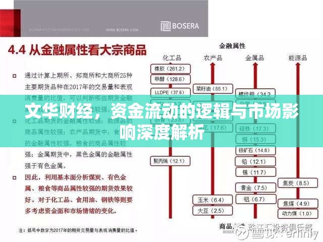 文華財經(jīng)，資金流動的邏輯與市場影響深度解析