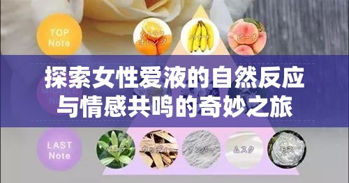 探索女性愛(ài)液的自然反應(yīng)與情感共鳴的奇妙之旅