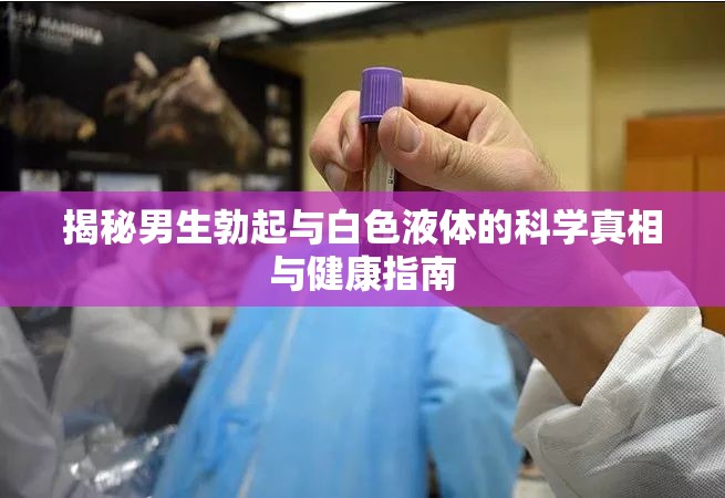 揭秘男生勃起與白色液體的科學(xué)真相與健康指南