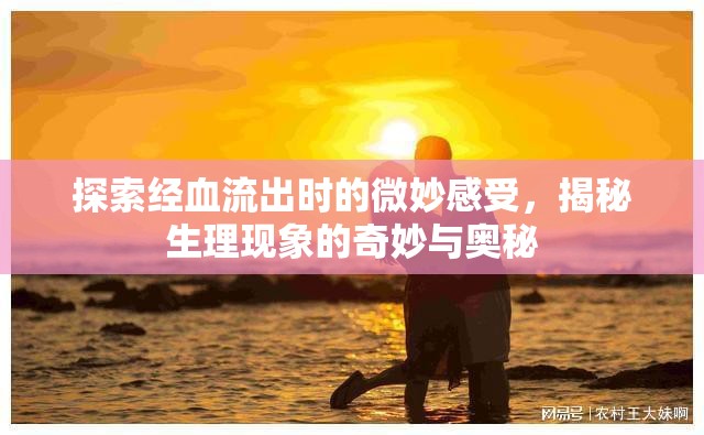 探索經(jīng)血流出時(shí)的微妙感受，揭秘生理現(xiàn)象的奇妙與奧秘