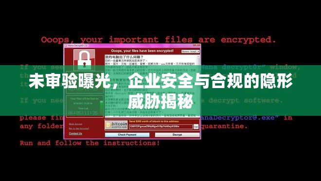 未審驗(yàn)曝光，企業(yè)安全與合規(guī)的隱形威脅揭秘