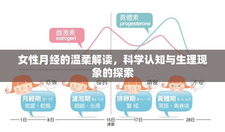 女性月經(jīng)的溫柔解讀，科學(xué)認(rèn)知與生理現(xiàn)象的探索