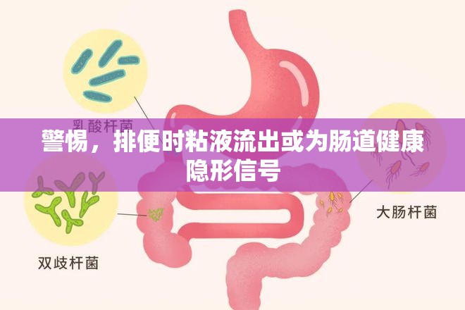 警惕，排便時粘液流出或為腸道健康隱形信號