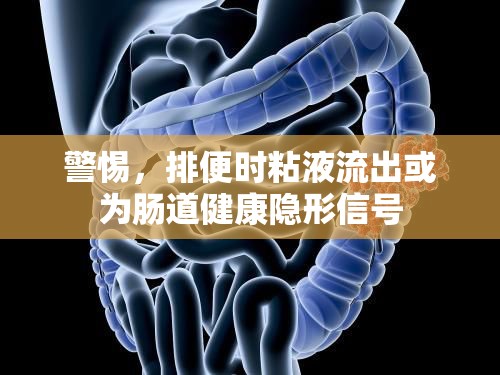 警惕，排便時粘液流出或為腸道健康隱形信號