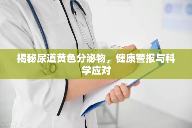 揭秘尿道黃色分泌物，健康警報與科學應對