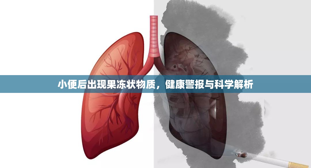 小便后出現(xiàn)果凍狀物質(zhì)，健康警報與科學解析