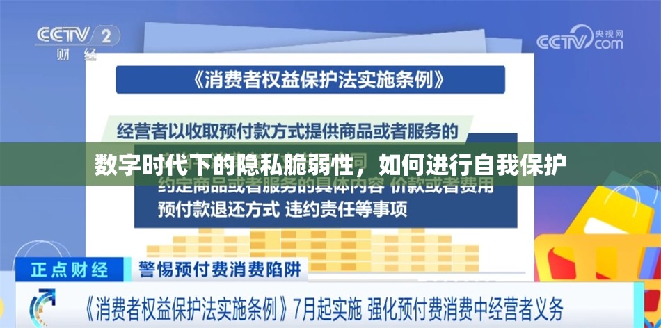 數字時代下的隱私脆弱性，如何進行自我保護