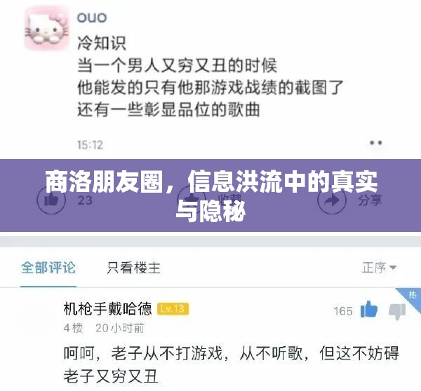 商洛朋友圈，信息洪流中的真實(shí)與隱秘