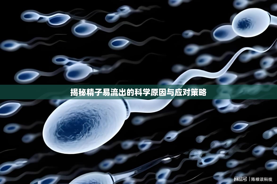 揭秘精子易流出的科學(xué)原因與應(yīng)對策略