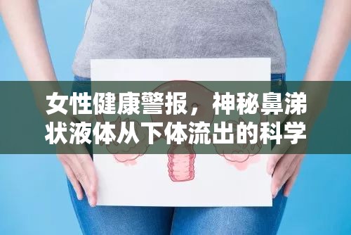 女性健康警報(bào)，神秘鼻涕狀液體從下體流出的科學(xué)解析