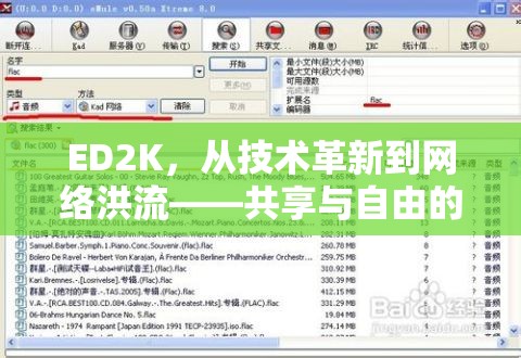 ED2K，從技術(shù)革新到網(wǎng)絡(luò)洪流——共享與自由的未竟對(duì)話(huà)