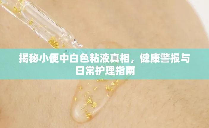 揭秘小便中白色粘液真相，健康警報與日常護理指南