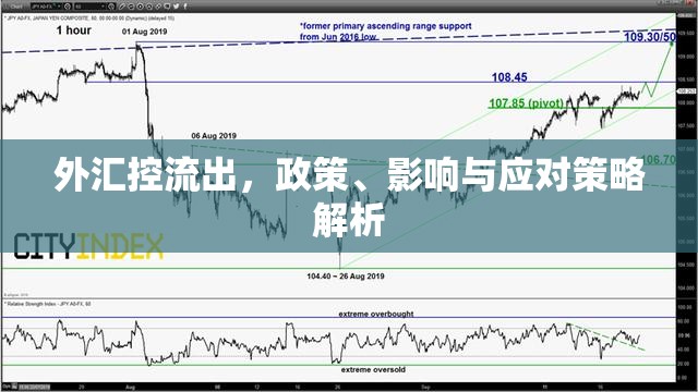 外匯控流出，政策、影響與應對策略解析