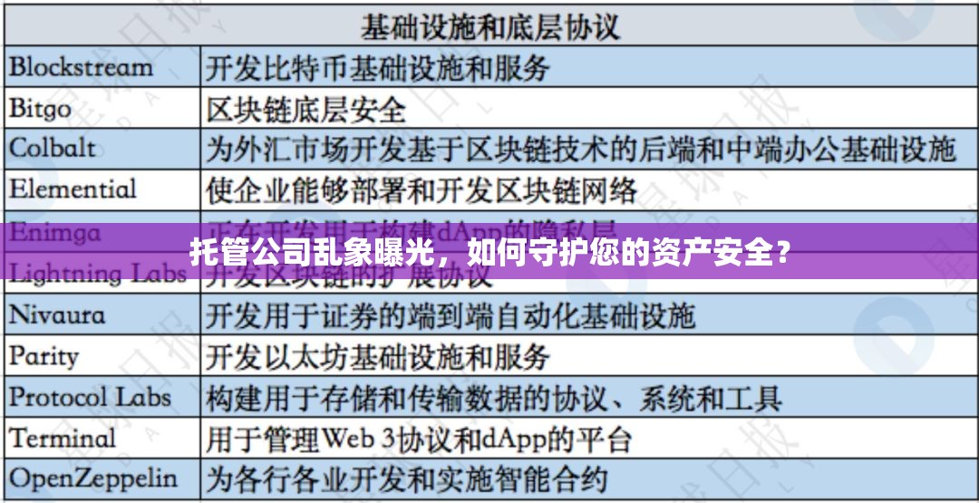 托管公司亂象曝光，如何守護(hù)您的資產(chǎn)安全？