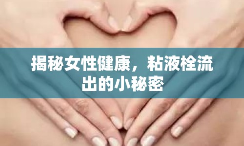 揭秘女性健康，粘液栓流出的小秘密