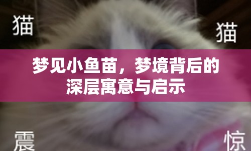 夢見小魚苗，夢境背后的深層寓意與啟示