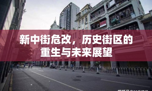 新中街危改，歷史街區(qū)的重生與未來展望