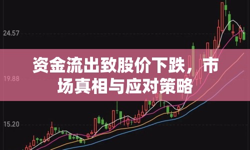 資金流出致股價下跌，市場真相與應(yīng)對策略