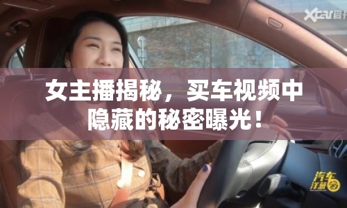 女主播揭秘，買車視頻中隱藏的秘密曝光！