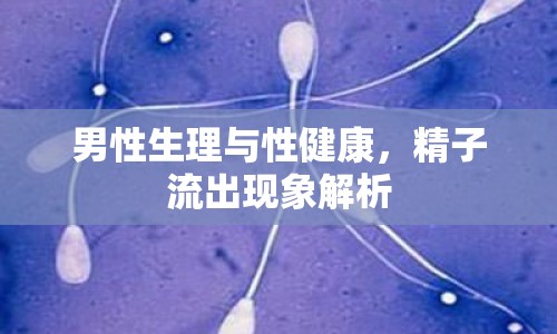 男性生理與性健康，精子流出現(xiàn)象解析