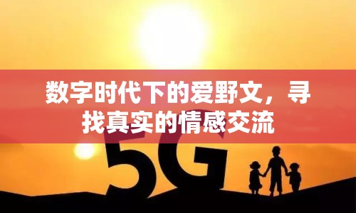 數(shù)字時代下的愛野文，尋找真實的情感交流