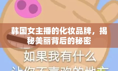 韓國女主播的化妝品牌，揭秘美麗背后的秘密