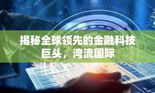 揭秘全球領(lǐng)先的金融科技巨頭，灣流國(guó)際