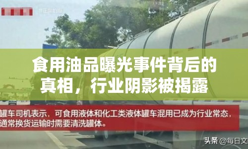 食用油品曝光事件背后的真相，行業(yè)陰影被揭露