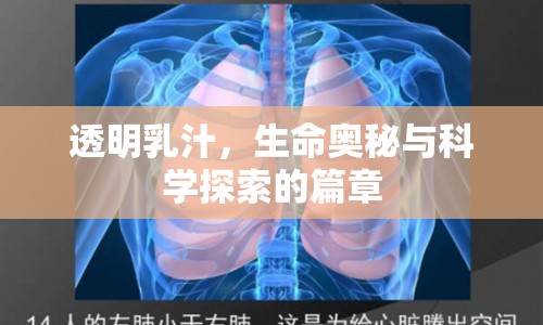 透明乳汁，生命奧秘與科學探索的篇章