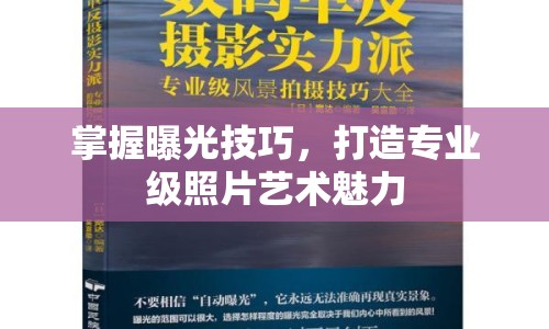 掌握曝光技巧，打造專業(yè)級照片藝術魅力