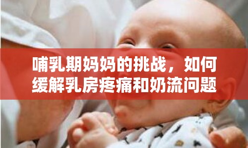 哺乳期媽媽的挑戰(zhàn)，如何緩解乳房疼痛和奶流問題？